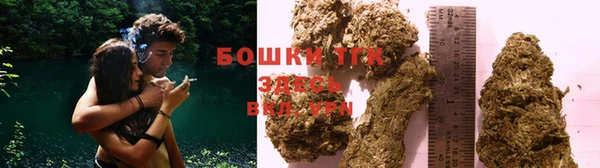 молекула духа Балахна