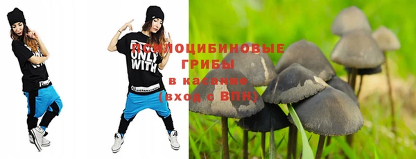a pvp Баксан