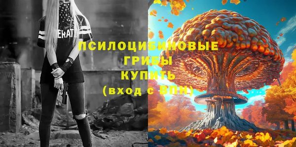 молекула духа Балахна