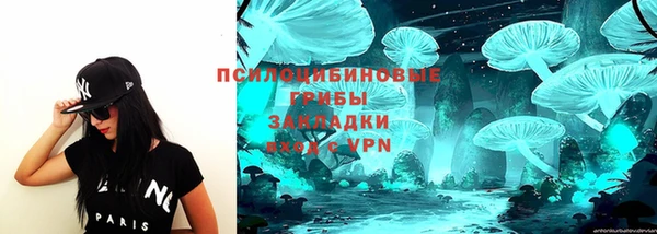 молекула духа Балахна