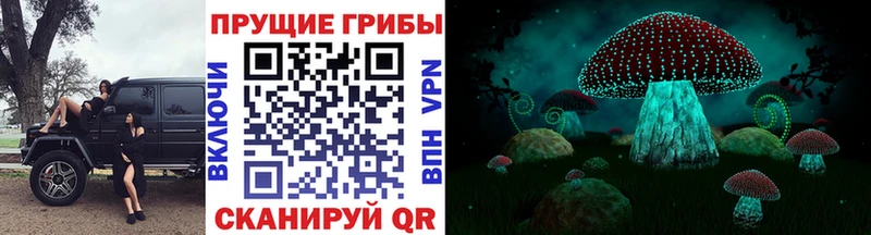 Галлюциногенные грибы Cubensis  МЕГА ONION  Верхняя Салда 