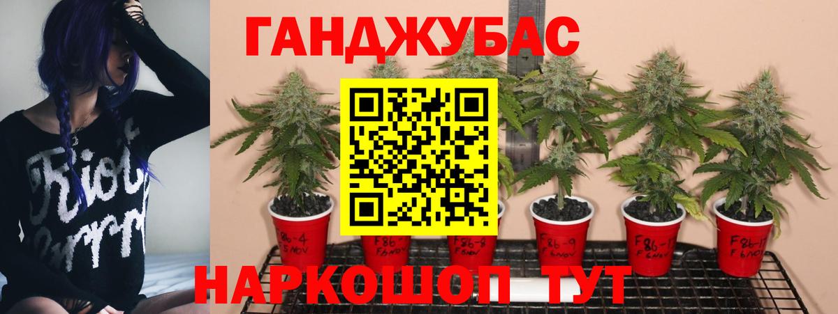 Каннабис сатива  Вход с VPN  Верхняя Салда  Конопля планчик 